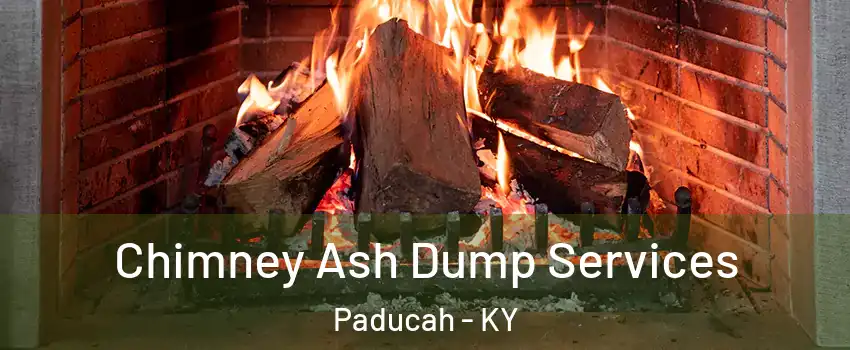  Chimney Ash Dump Services Paducah - KY
