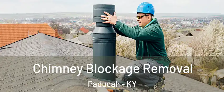  Chimney Blockage Removal Paducah - KY