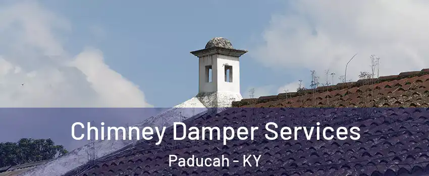  Chimney Damper Services Paducah - KY
