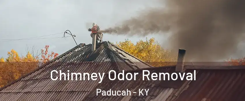  Chimney Odor Removal Paducah - KY