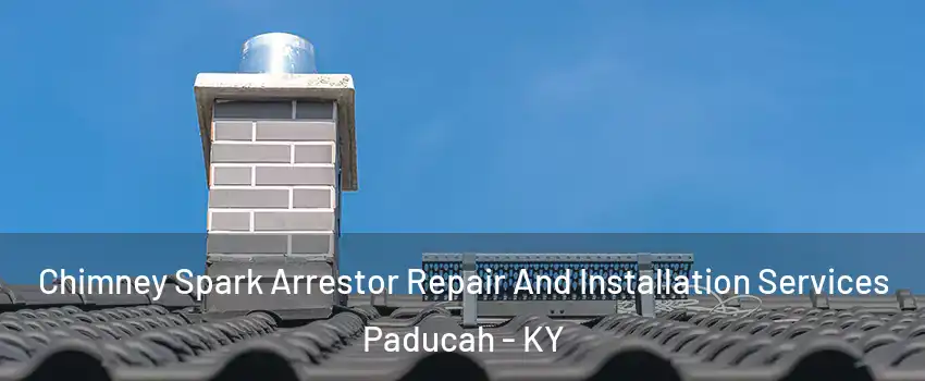  Chimney Spark Arrestor Repair And Installation Services Paducah - KY