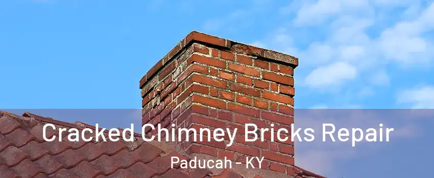  Cracked Chimney Bricks Repair Paducah - KY