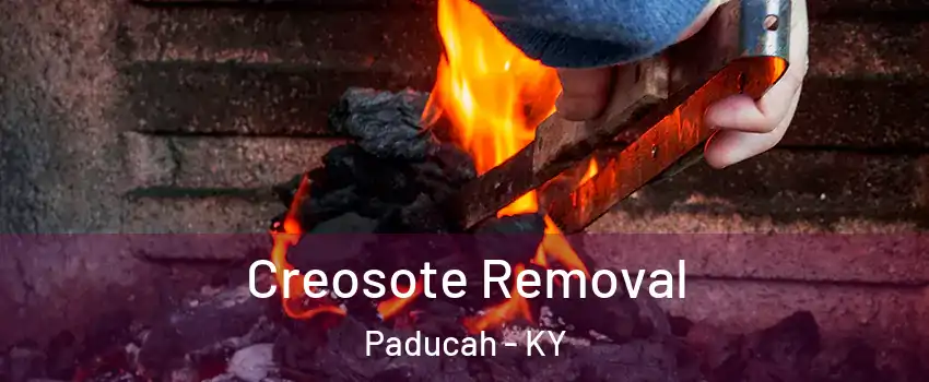  Creosote Removal Paducah - KY