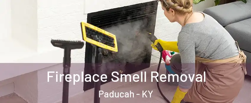  Fireplace Smell Removal Paducah - KY