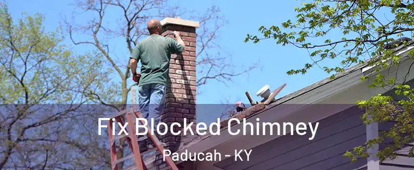  Fix Blocked Chimney Paducah - KY