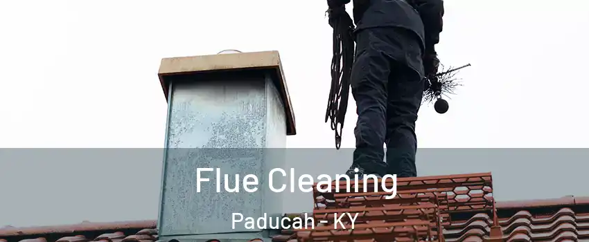  Flue Cleaning Paducah - KY