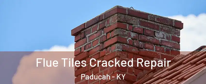  Flue Tiles Cracked Repair Paducah - KY