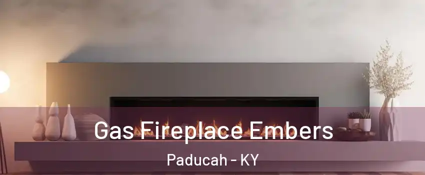  Gas Fireplace Embers Paducah - KY