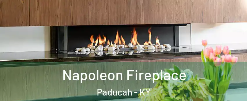 Napoleon Fireplace Paducah - KY